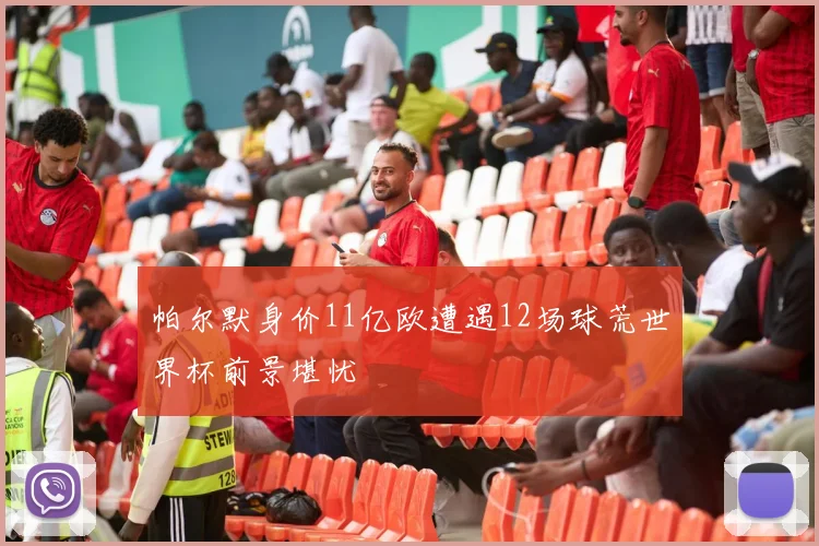 帕尔默身价11亿欧遭遇12场球荒世界杯前景堪忧